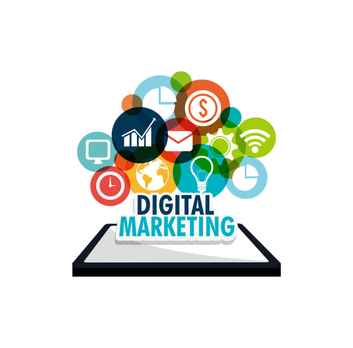 Best Digital Marketing Course in Karnal